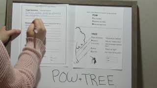 Writing Instructional Unit- POW   TREE Graphic Organizer