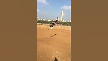 jumping stilts! #extremesports #talent #feature 🔥