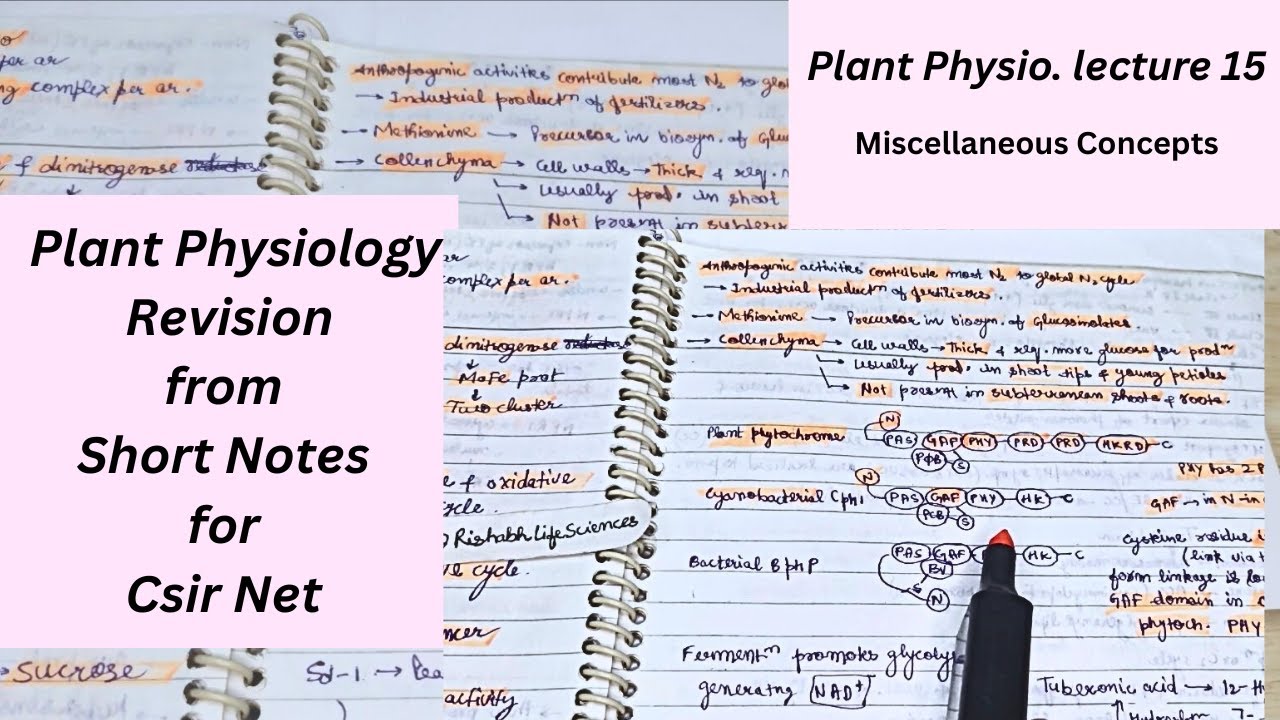 Plant Physiology Revision | Short Notes for CSIR NET, GATE, DBT, ICMR