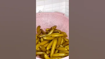 طريق تخزين خيار المخللات لسنه كامله والنتيجه صدمه 