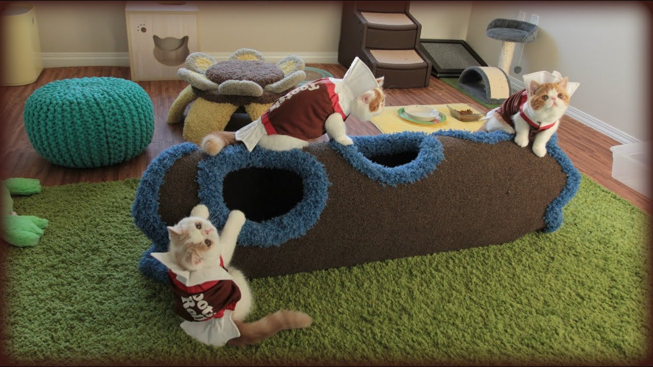 Halloween Tootsie Roll Kittens 
