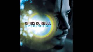 Chris Cornell - Steel Rain Resimi