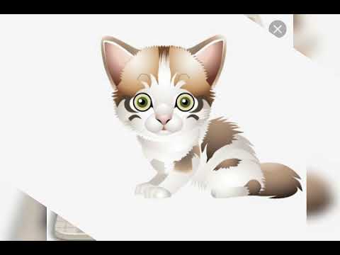 شفت الفار 🐀 السندق.. يلي اكل البندق.. 🌰فوق سطح الفندق🏨