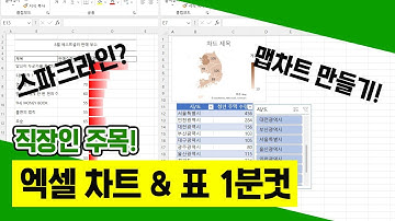 엑셀로 한눈에 들어오는 그래픽 표 & 차트 만드는 꿀팁!