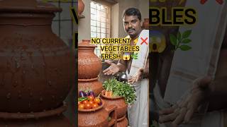Fridge இல்லாமலும் Vegetables Fresh! 😲🌿 | Natural Clay Pot Fridge