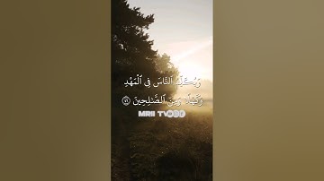 ماهر المعيقلي - سورة آل عمران ( برواية حفص عن عاصم ) الأية 46