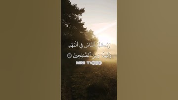 ماهر المعيقلي - سورة آل عمران ( برواية حفص عن عاصم ) الأية 46