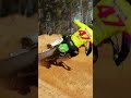 SX Bootcamp DAY 1