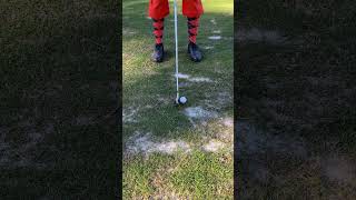 Golf Knickers
