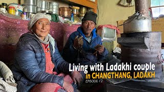 I experienced Ladakhi village life | Rongo village, Changthang valley