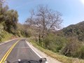 Sequoia, Part 3