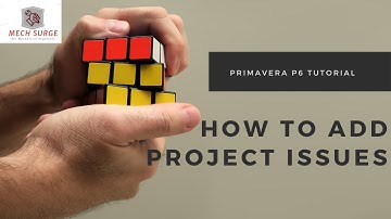 How to add project issues in Primavera P6?