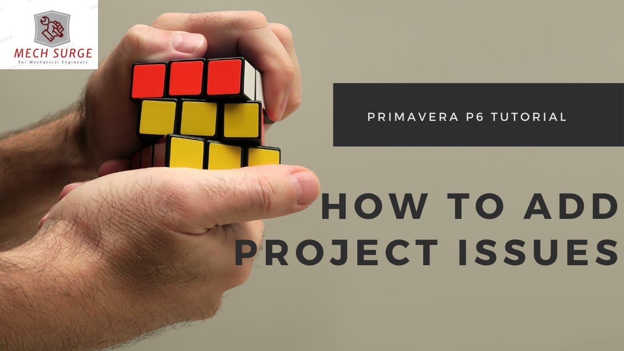 How to add project issues in Primavera P6? - YouTube
