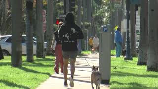 Paid parking begins in Balboa Park, parking passes available online