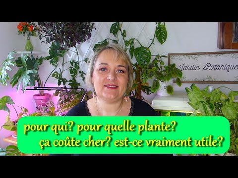 Vidéo: Plantes d'intérieur pour conditions de lumière moyenne