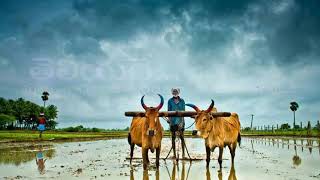 #farmer#dedicated song#for whats app stastus #feel the music screenshot 4