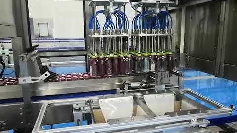 Automatic pick and place case carton packer for glass bottle