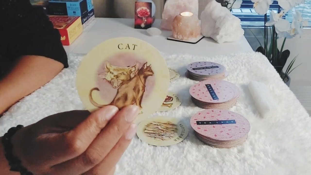 Leeuw♌️ Mei 2025✨️