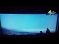 اجمل مقطع من فيلم كدبه كل يو9وم
