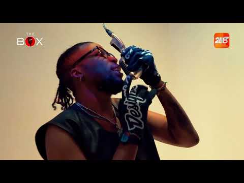 VIPER TOY - HORA DO SHOW | THE BOX