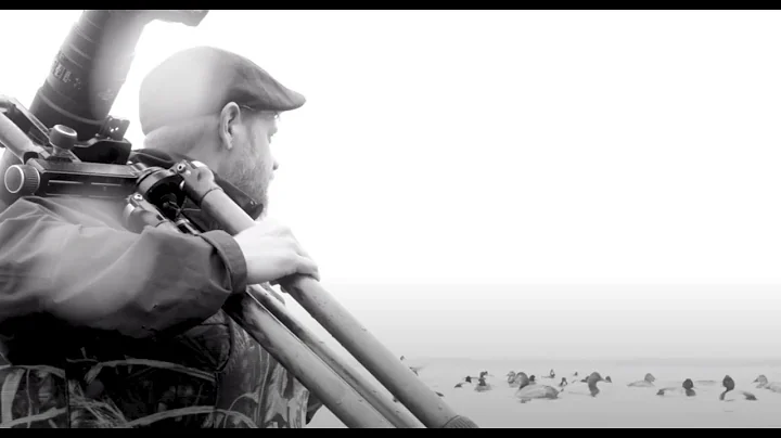 Master Birds in Flight by Nailing Your Autofocus S...