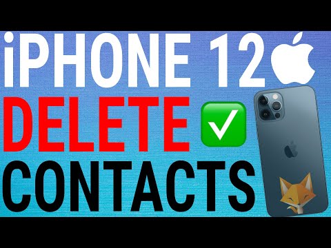 How To Delete Contacts On iPhone 12 /12 Pro