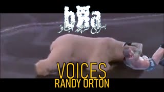 Voices (Randy Orton Theme) - Rev Theory - COVER