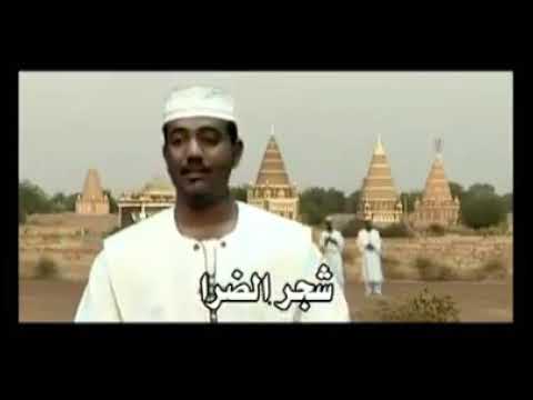 سيدي اب شراء الشيخ يوسف