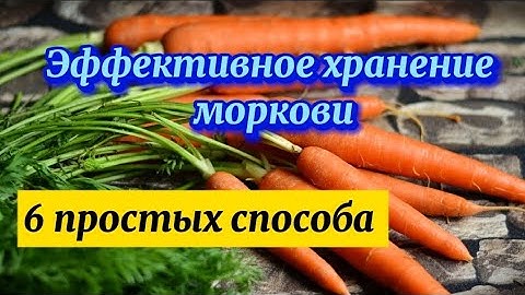 Способы хранения моркови. Свежие овощи круглый год