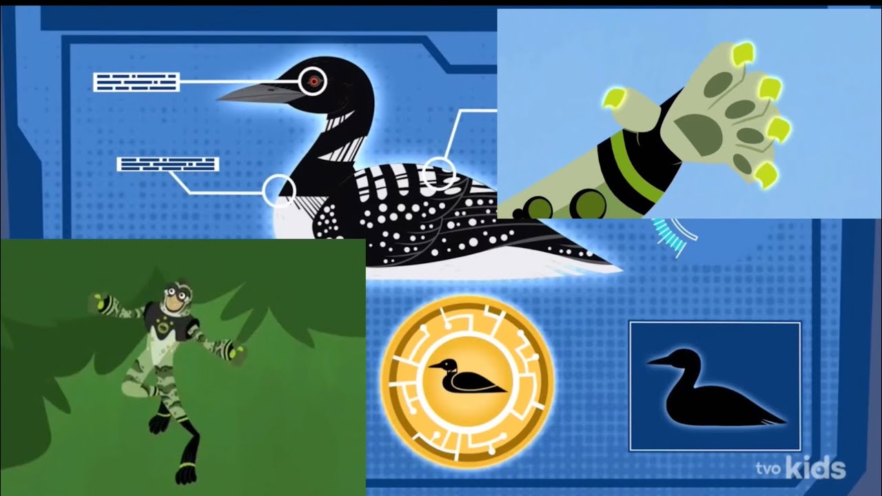 Wild Kratts | Activate Loon, African Leopard, and Tree Frog Powers