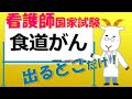 看護師国家試験出るとこだけ『食道がん』 聞いて覚える。#shorts