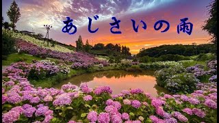 あじさいの雨 歌:渡 哲也 カバー曲:misaki888