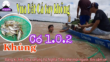 Vua bắt cá bằng tay không Trên sông Vàm Nao không thể tin nổi| Rong Ruổi Miền Tây