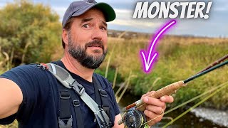 Fly Fishing a Small Creek & the EPIC Battle with a MASSIVE Rainbow Trout