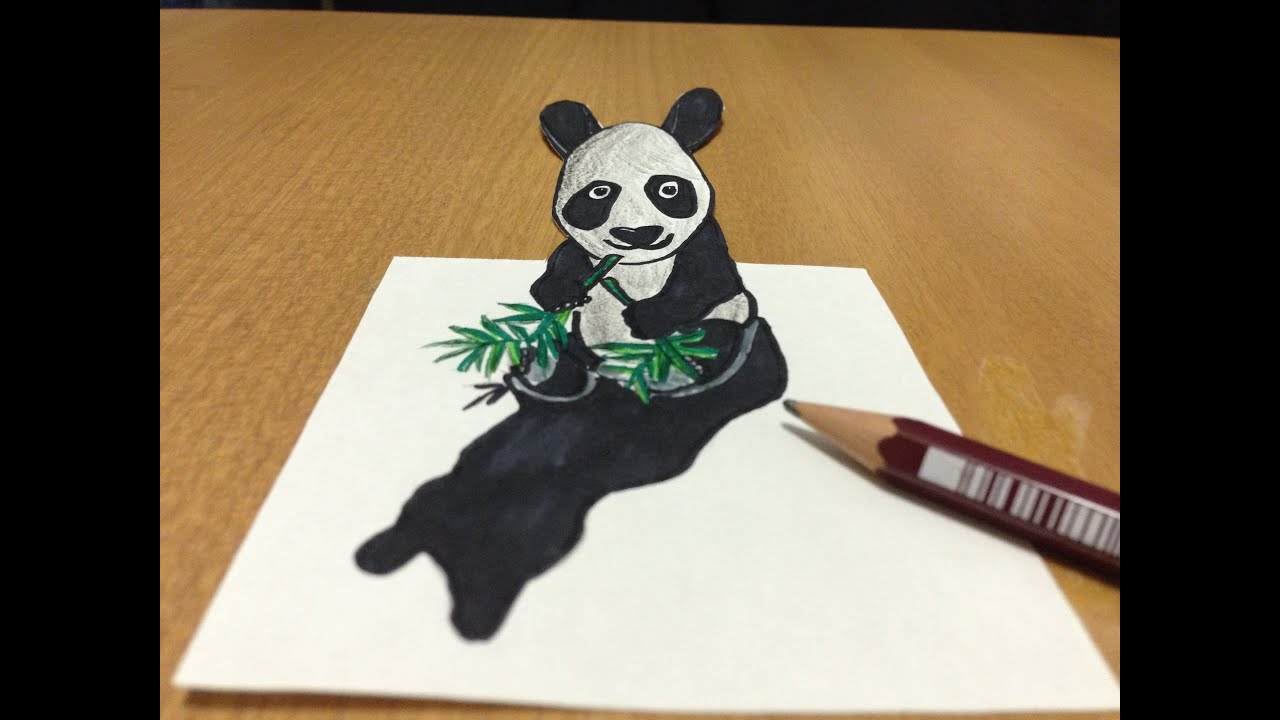 Freehand 3D Panda Bear Drawing, Trick Art Anamorphic Illusion - Time ...