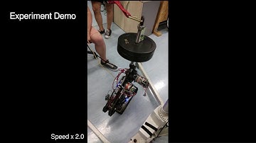 A Novel Efficient Leg Prototype Powered by Adjustable Parallel Compliant Actuation Principles