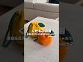 くだもの巾着の編み方解説！part2🍋🍊