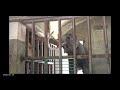 2026.05.18 13:33-13:51 マック 足のケア ならず