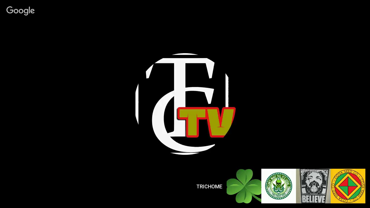 Trichome Chasers Grow Life Stream #39