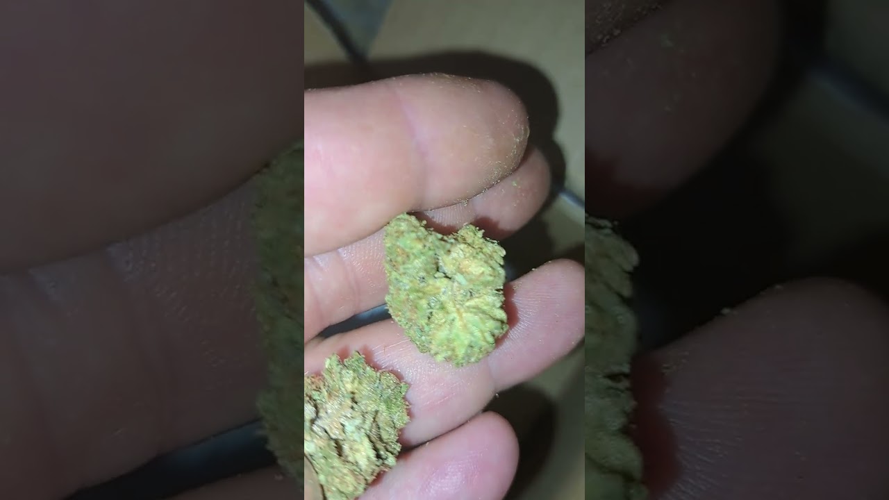 LIT FARMS GUSHERS REVIEW  29$ OZ