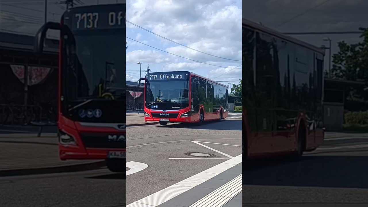 Brandneuer MAN-Südwestbus als Linie 7137 nach Offenburg in Appenweier