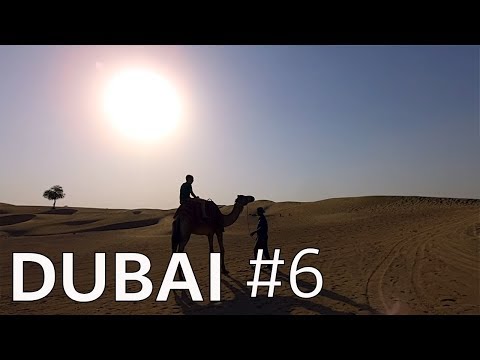 Dubai Desert Safari // It's a must do! (2019)