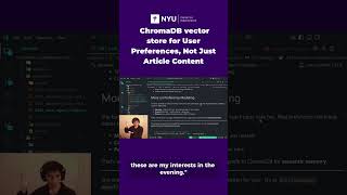 ChromaDB vector store for User Preferences, Not Just Article Content
