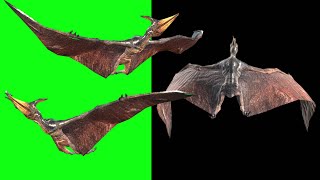 Pterodactyl fly up | Green Screen and Black Screen 3D Animation Video