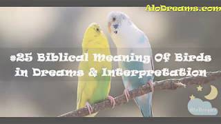 spiritual meaning of bird flying into window 2