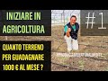 #1 Iniziare da Zero in Agricoltura Quanto terreno per fare 1000 € al mese