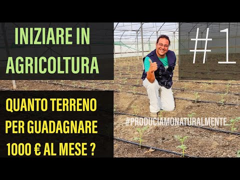 #1 Iniziare da Zero in Agricoltura Quanto terreno per fare 1000 € al mese