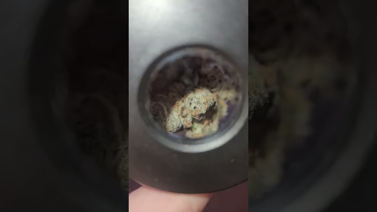 🌌🐢🐢🐢🌌CONNECTED SLOW LANE IN MAGNAFIER LIGHT JAR ✨️ 💥💨💨💨