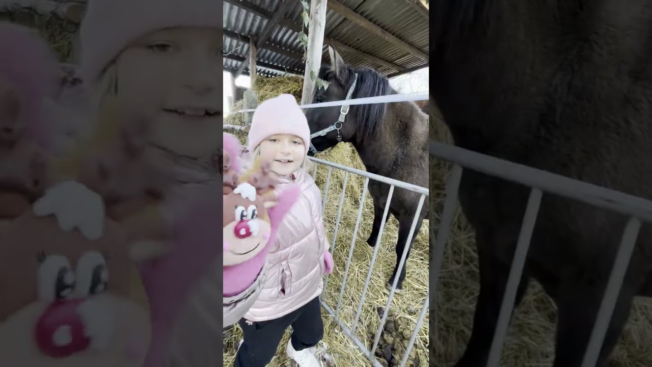 Czy ciasteczka z Candy Horse smakowały moim koniom ?