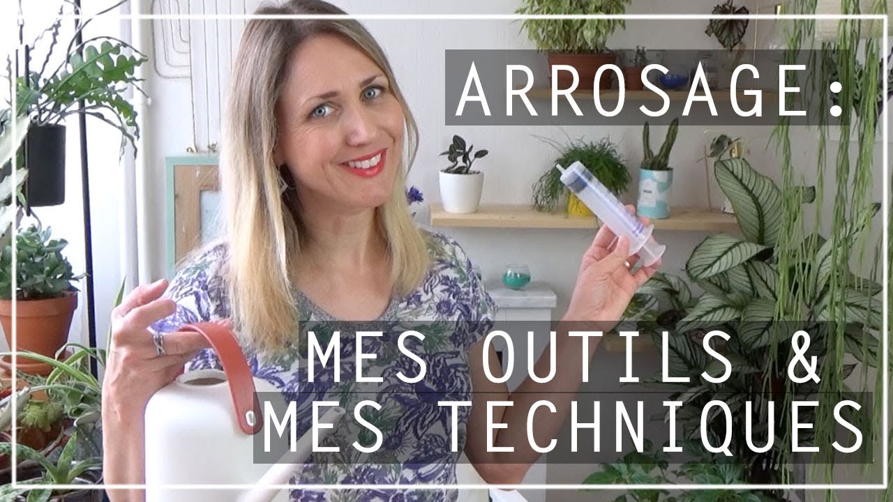 Arroser ma plante d'intérieur - arrosoir, vaporisateur, oya – La